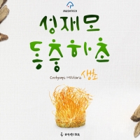 [성재모동충하초] 생초5통(85g)