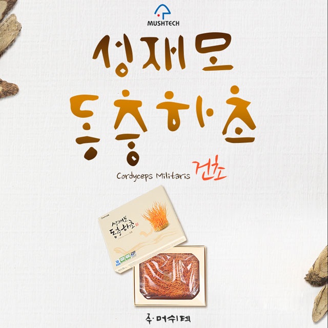 강원더몰,(강원we)[성재모동충하초] 건초(50g)